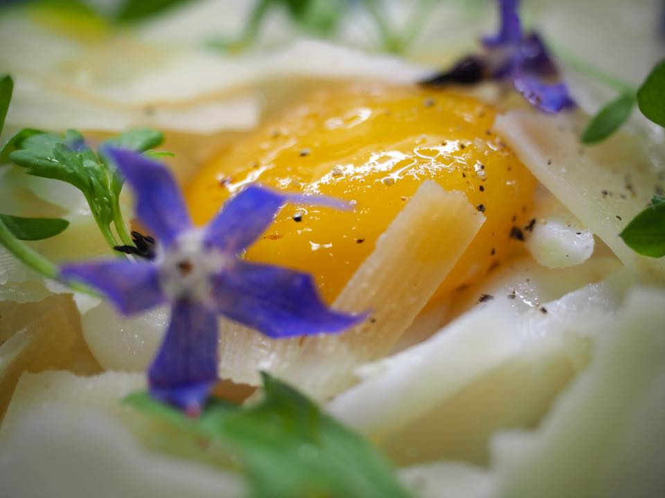 tagliatelles encornets